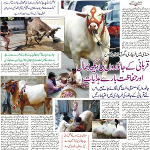 Care of Qurbani Animals