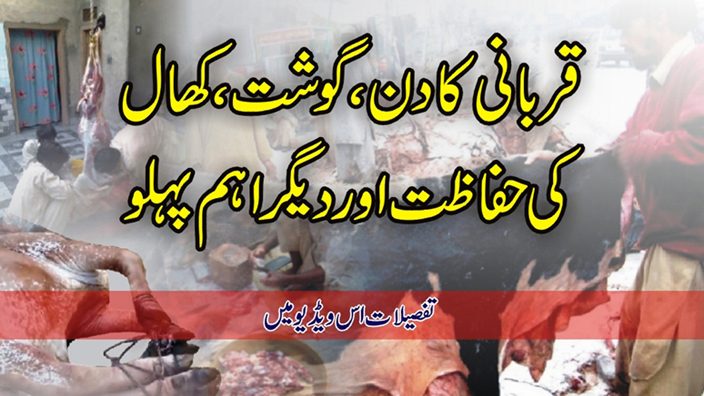 Hides and meat of Qurbani Care