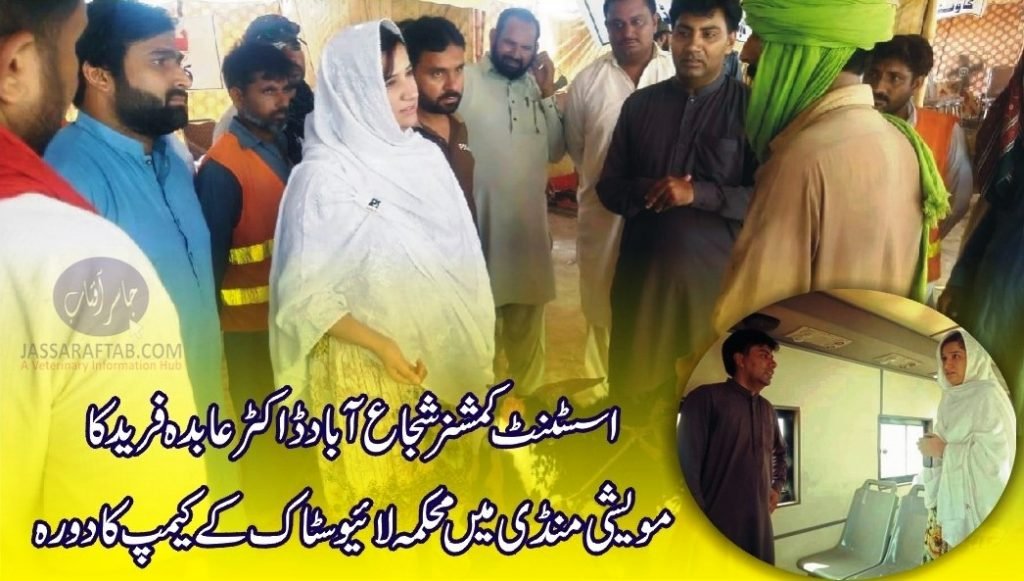 Shujabad Livestock AC Dr. Abida Farid