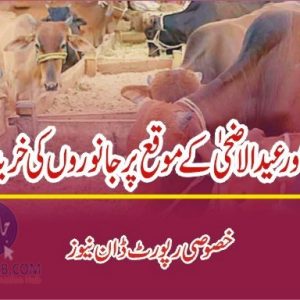 Animal census importance and Baqra Eid trade