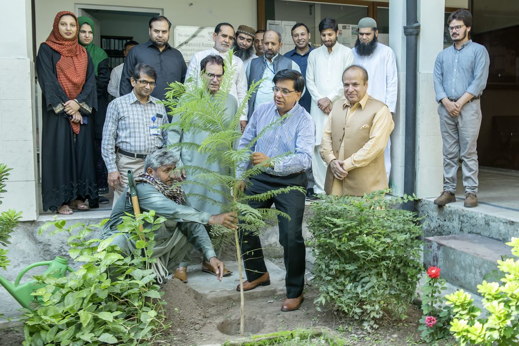 Plantation under PM Program