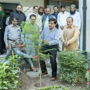 Plantation under PM Program
