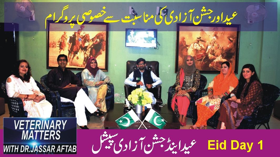 Eid Special Program and Jashn e Azadi Show