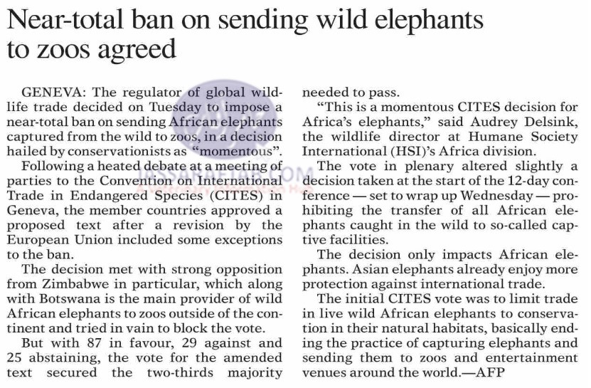 ban on wild African elephants in zoos