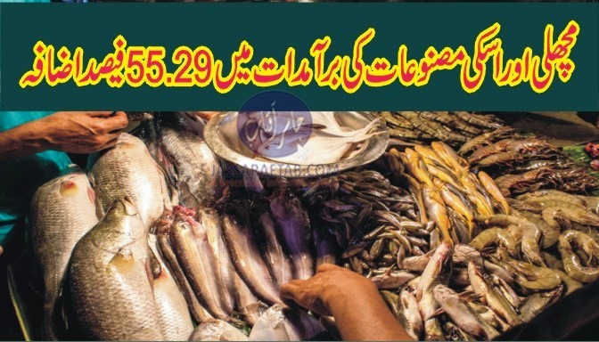 مچھلی کی مصنوعات کی برآمدات میں 55 فیصد اضافہ
