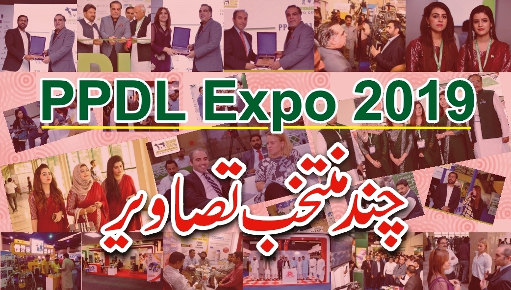 PPDL Expo 2019 .. Selected Photographs
