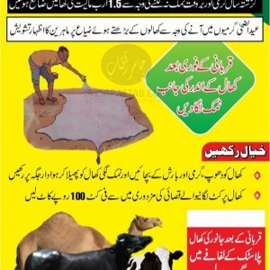 Protection of Qurbani Animals Skin