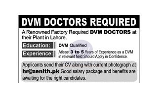 DVM Doctors Job