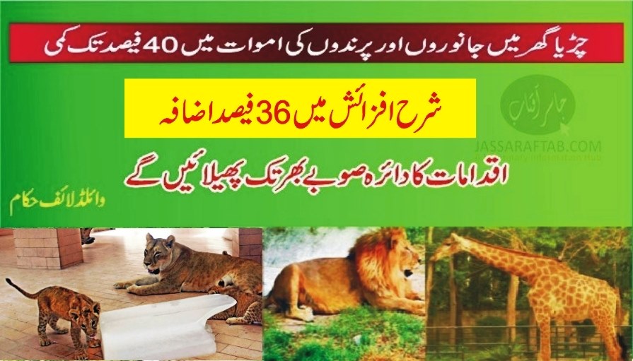 Mortality rate reduced at Lahore zoo