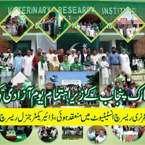 Jashn e Azadi Livestock Celebrations