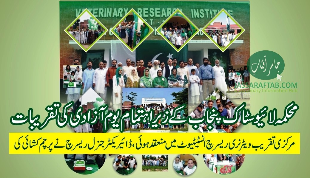 Jashn e Azadi Livestock Celebrations