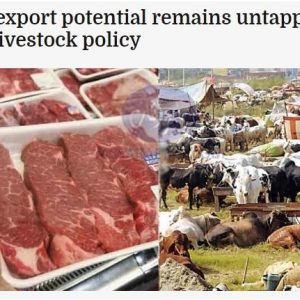 Meat export potential remains untapped due to absence of livestock policy,
