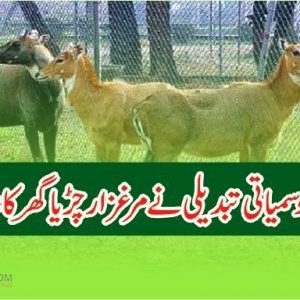 Marghazar zoo management handed over to ministry of climate change