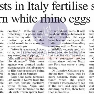 fertilize eggs from last northern white rhinos