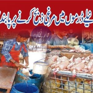 Ban on slaughtering chicken in blue drums