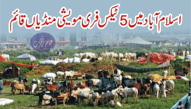 اسلام آباد میں 5 ٹیکس فری مویشی منڈیاں قائم