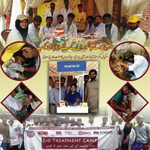 Free Treatment Camp by Vets Care Club at Saggian Bakkar Mandi Lahore