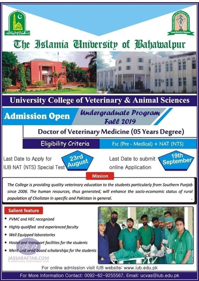 DVM admissions in Islamia University Bahawalpur