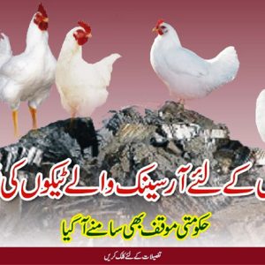Arsenic in Poultry Chicken
