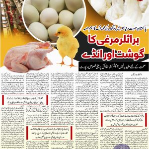 hormones in poultry feed, Facts about Poultry feed and history of poultry. Facts about broiler