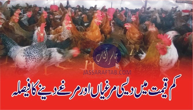 Poultry distribution