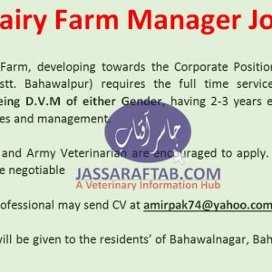 Dairy Farm Manager Job, Female Dairy Farm Manager Job for Veterinary Doctors