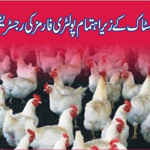 Registration of Poultry Farms