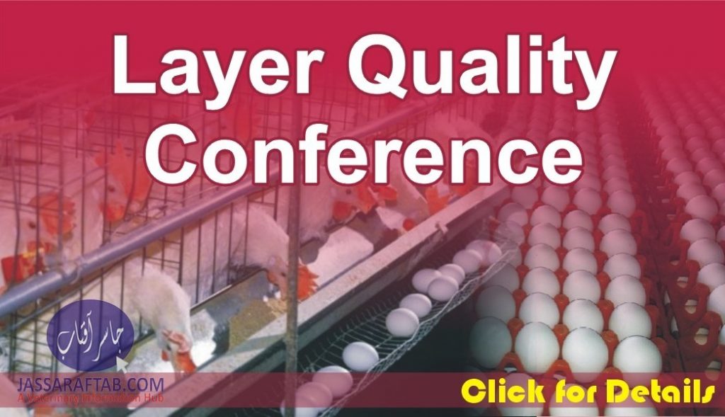 Conference on Poultry Layer Quality