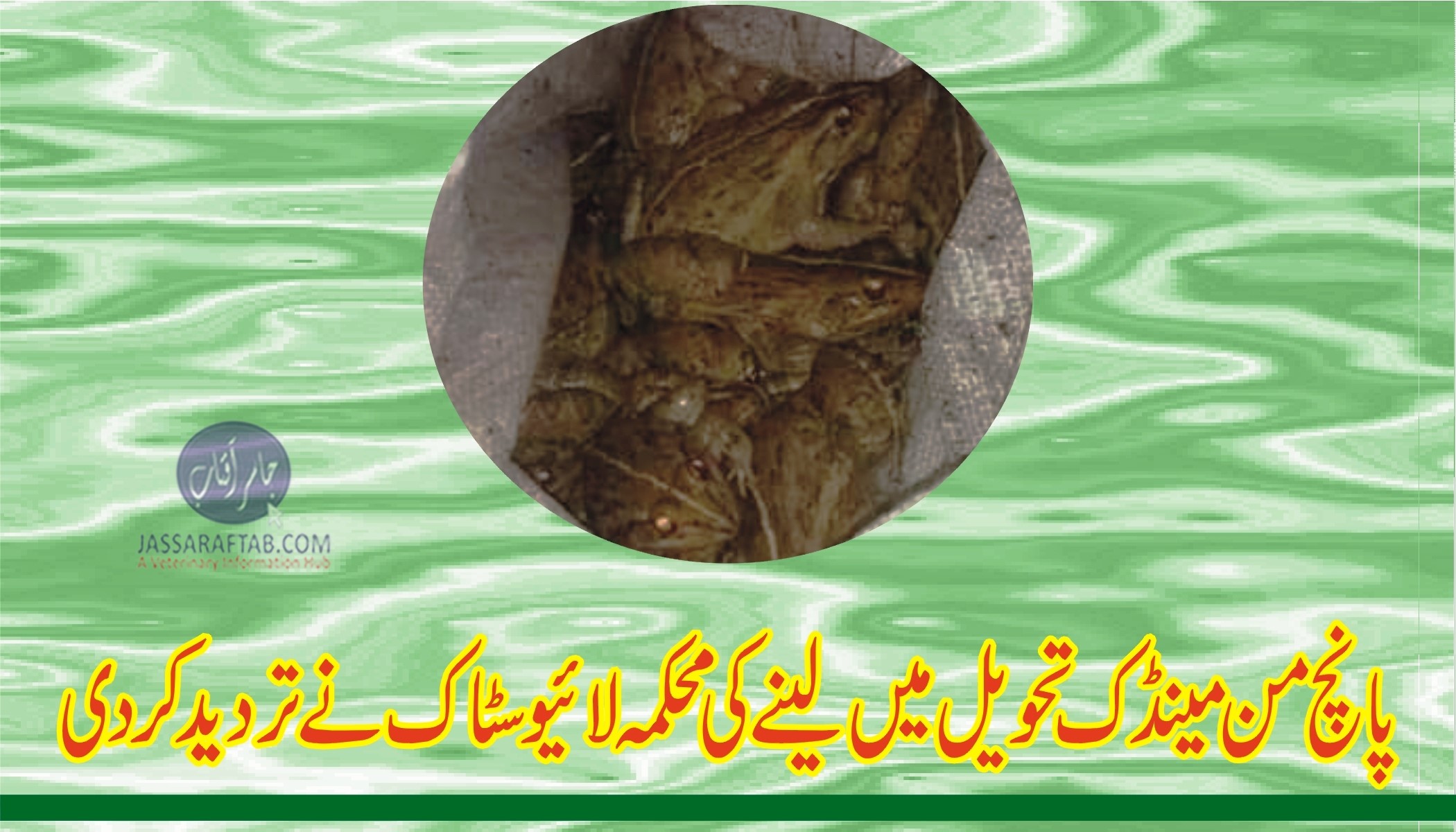 Frog meat in Lahore