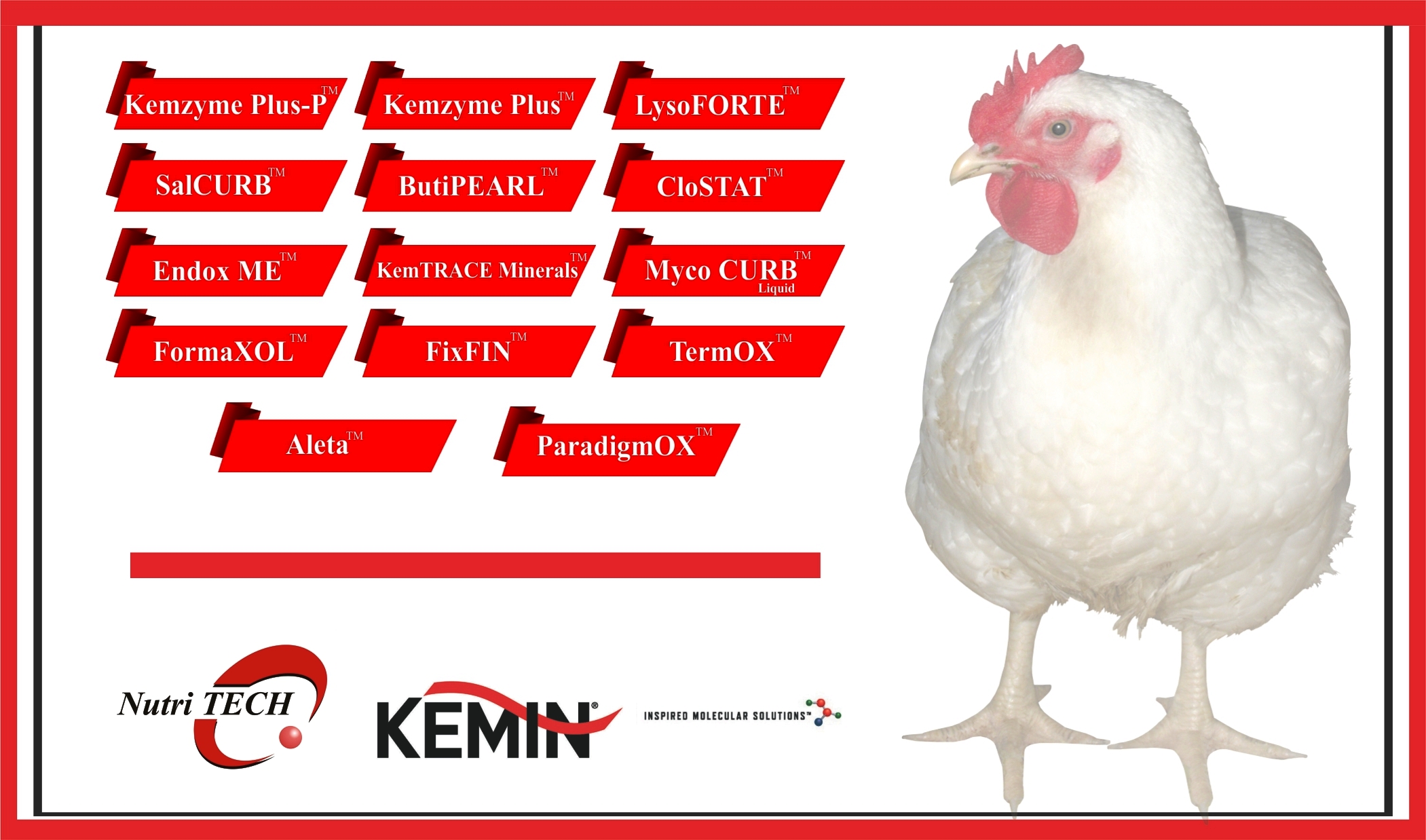 Kemin Products for Poultry