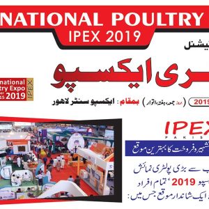 IPEX 2019