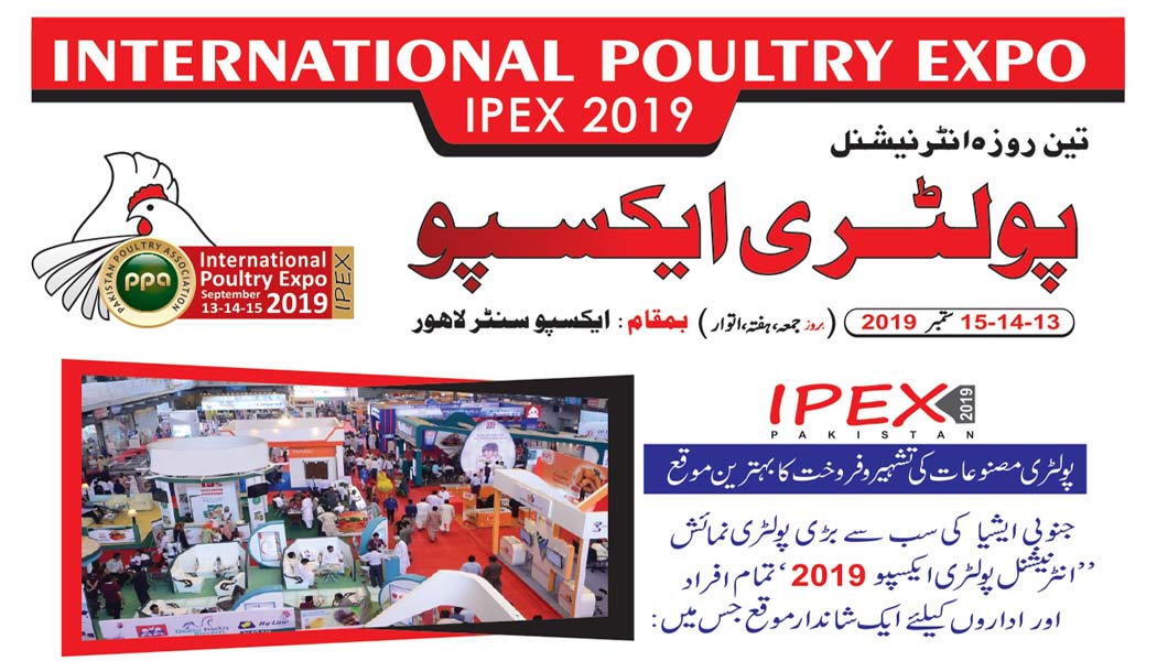 IPEX 2019