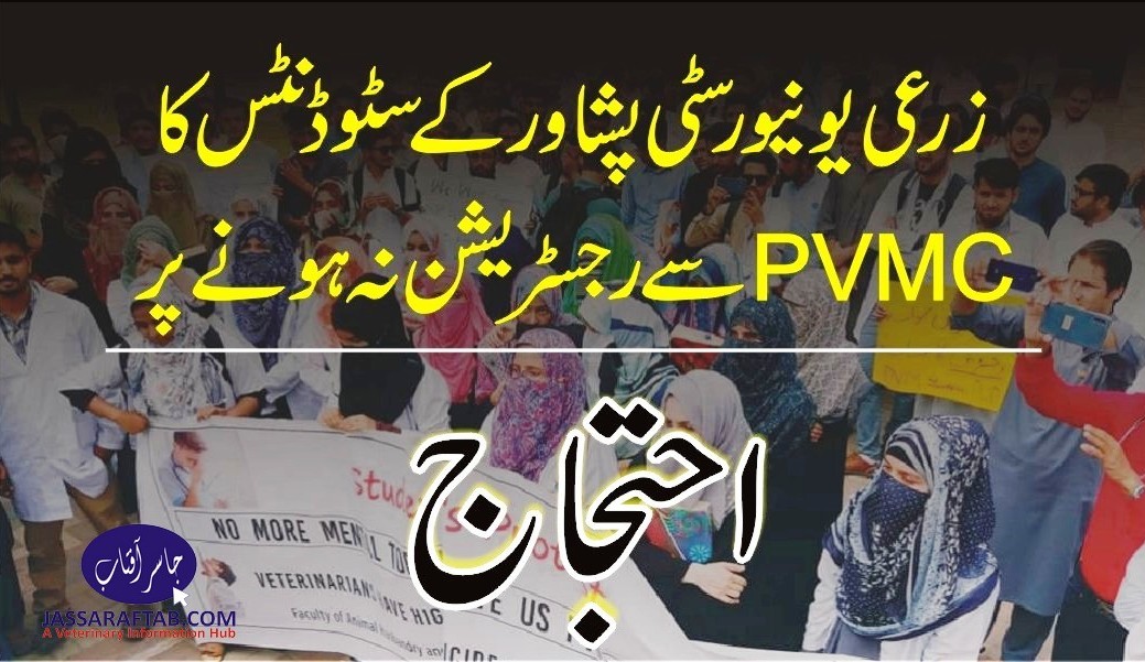 یونیورسٹی آف ایگریکلچر پشاور کے سٹوڈنٹس کا پی وی ایم سی سے رجسٹریشن نہ ہونے کے خلاف احتجاج