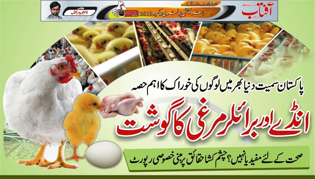 انڈے اور پولٹری کے گوشت کی حقیقت بارے چشم کشا رپورٹ
