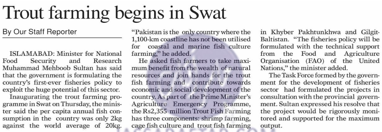 Trout fish farming in Swat