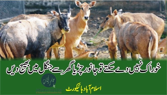 خوراک نہیں دے سکتے تو جانور چڑیا گھر سے جنگل میں بھیج دیں ، اسلام آباد ہائیکورٹ