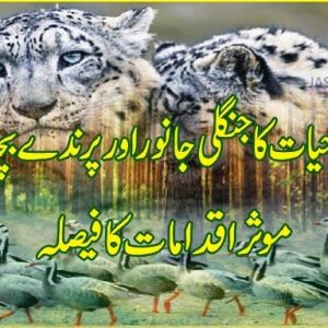 Conservation of wild animals and birds