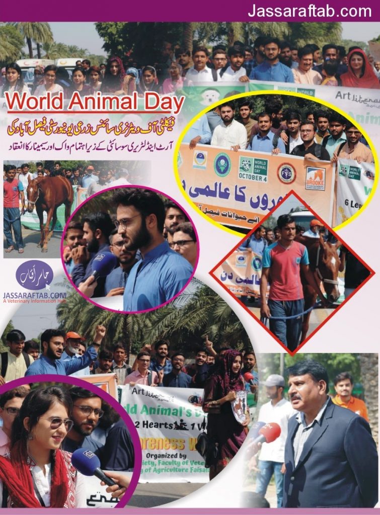 World Animal Day 