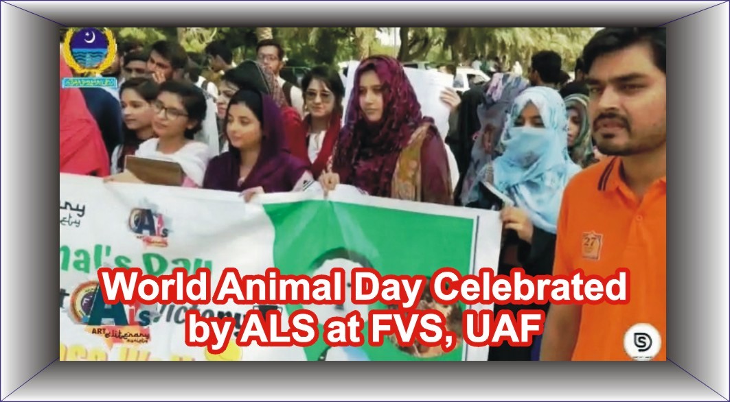 ورلڈ اینیمل ڈے کے موقع پر زرعی یونیورسٹی فیصل  آباد کی ویٹرنری فیکلٹی میں تقریب