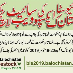 Govt launched the website of Balochistan Livestock Expo