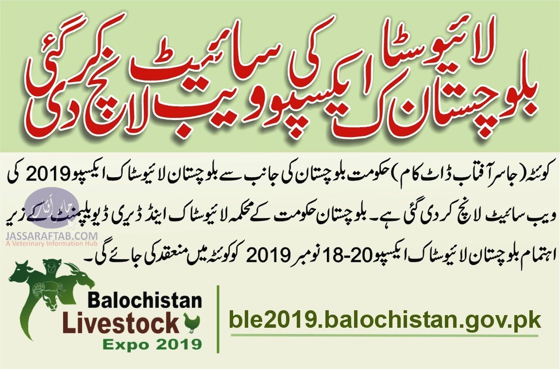 Govt launched the website of Balochistan Livestock Expo