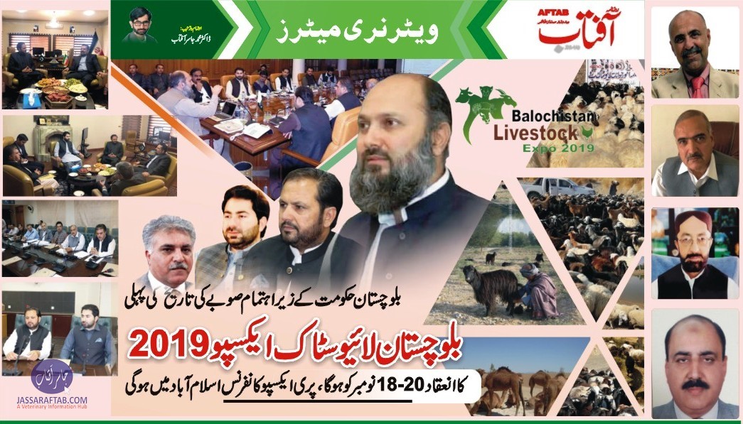 بلوچستان لائیوسٹاک ایکسپو کی تیاریوں پر خصوصی رپورٹ ۔۔ روزنامہ آفتاب، ویٹرنری میٹرز