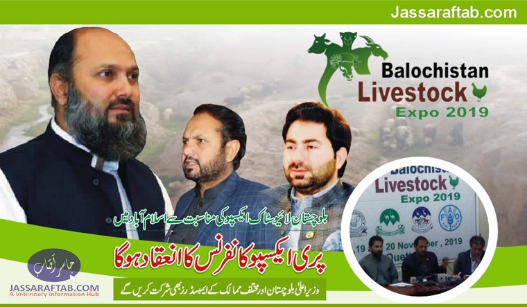 بلوچستان لائیوسٹاک ایکسپو کی مناسبت سے پری ایکسپو کانفرنس کا انعقاد اسلام آباد میں ہو گا