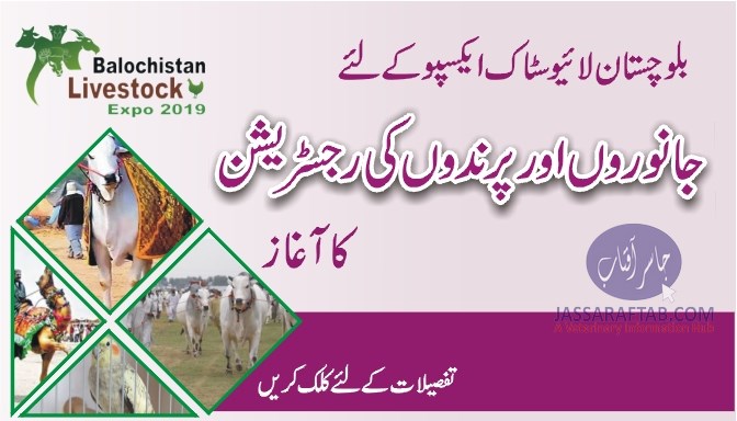 بلوچستان لائیوسٹاک ایکسپو کے لئے جانوروں اور پرندوں کی رجسٹریشن کا آغاز