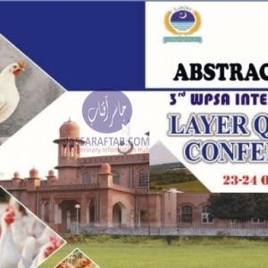 Layer Quality Conference