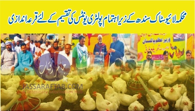 Distribution of Poultry Units in Sindh