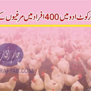 Poultry units distribution in Sindh