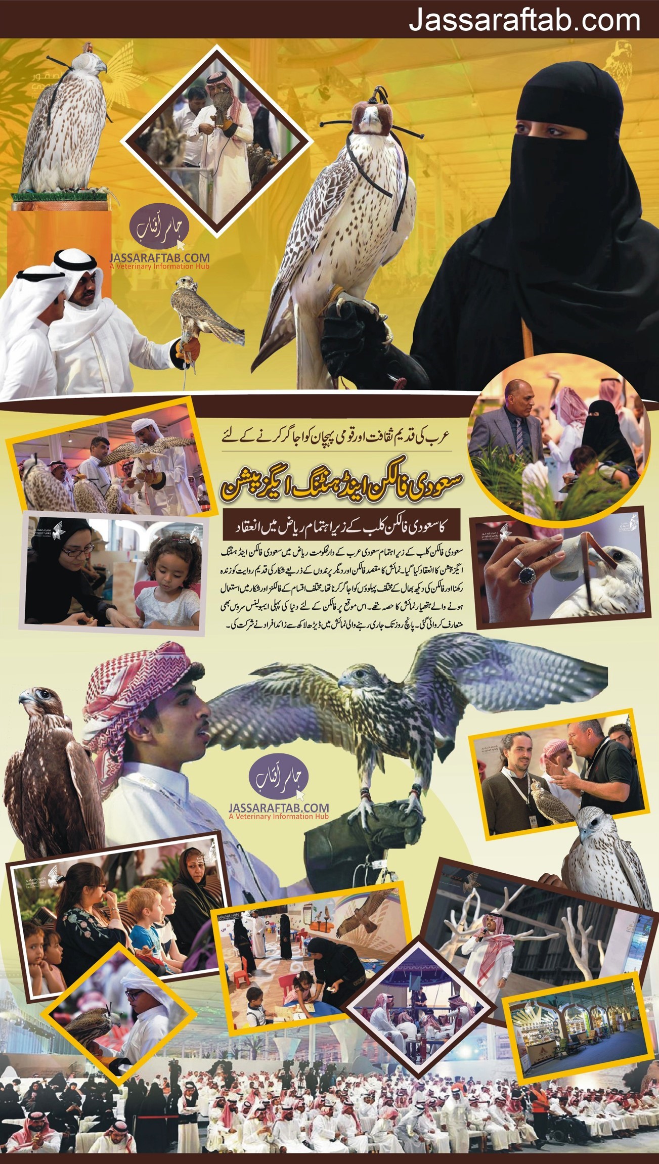 Saudi Falcon and Hunting Exhibition. Falcon Exhibition at Riyadh organized by Saudi Falcon Club