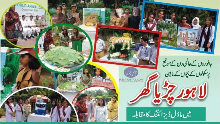 World Animal Day Lahore Zoo