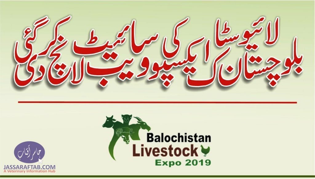 Balochistan Livestock Expo